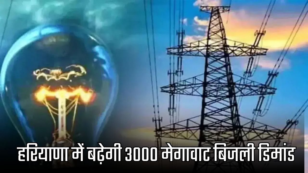 Haryana News
