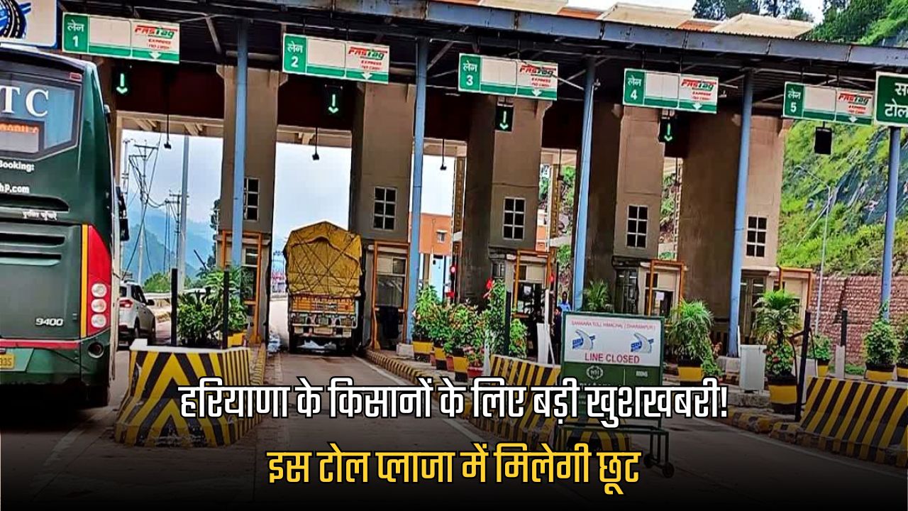 Haryana News
