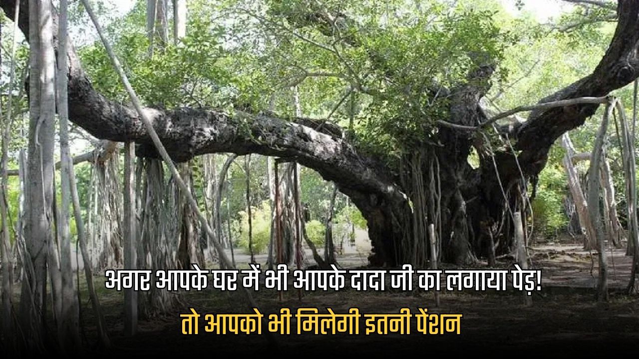 Prana Vayu Devta Pension