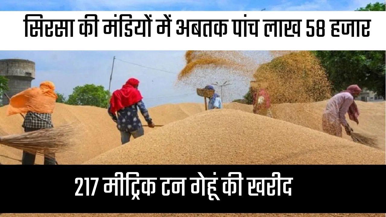 Sirsa News