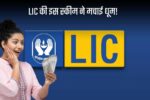 LIC scheme